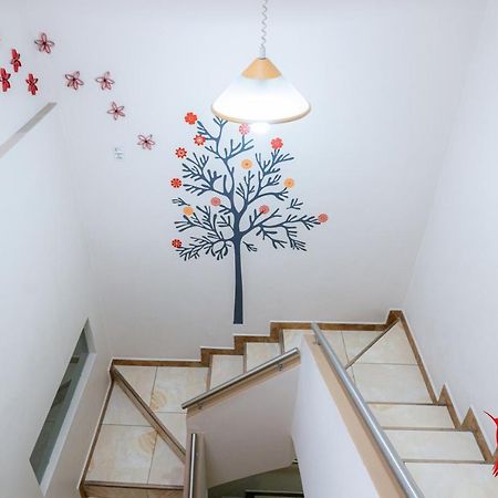 Hostal Kolibri B&B Cuenca Dış mekan fotoğraf